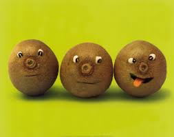 image kiwi2